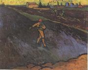 Vincent Van Gogh The Sower:Outskirts of Arles in the Background (nn04) china oil painting artist